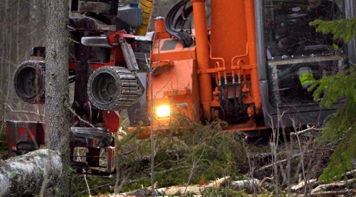 Anpassningarna av de två modellerna görs på Hitachis fabrik och innebär att de kan arbeta både i skogsbruket och på vanliga gräv- och anläggningsjobb.