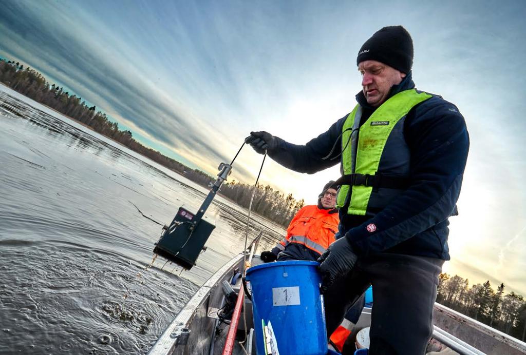 Klarare vatten och god status i