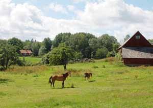 Utmed vägen genom Klättorp kan en viss förtätning och komplettering ske.