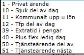 12-Tfp del av dag Går hem del av dag pga vård av barn 13-Flexledig del av dag används när du inte arbetar hel dag 15-Semestertimmar används när du ska ta ut semester timmar del av dag (måste finnas