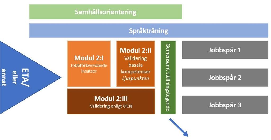 Flödet: Modellen ovan visar hur flödet i de olika modulerna är tänkt att se ut. Genomgående för hela processen är språkträning, och parallellt med modul 2 även samhällsorientering.