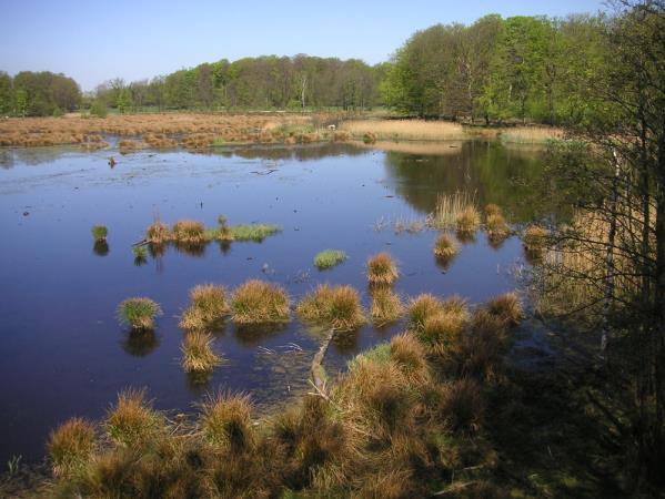 Bakgrund Under de senaste 200 åren har stora förändringar skett i landskapet i Skåne. För att vinna åkermark har många våtmarker och mängder av småbäckar dikats ut och lagts ner i rör under marken.