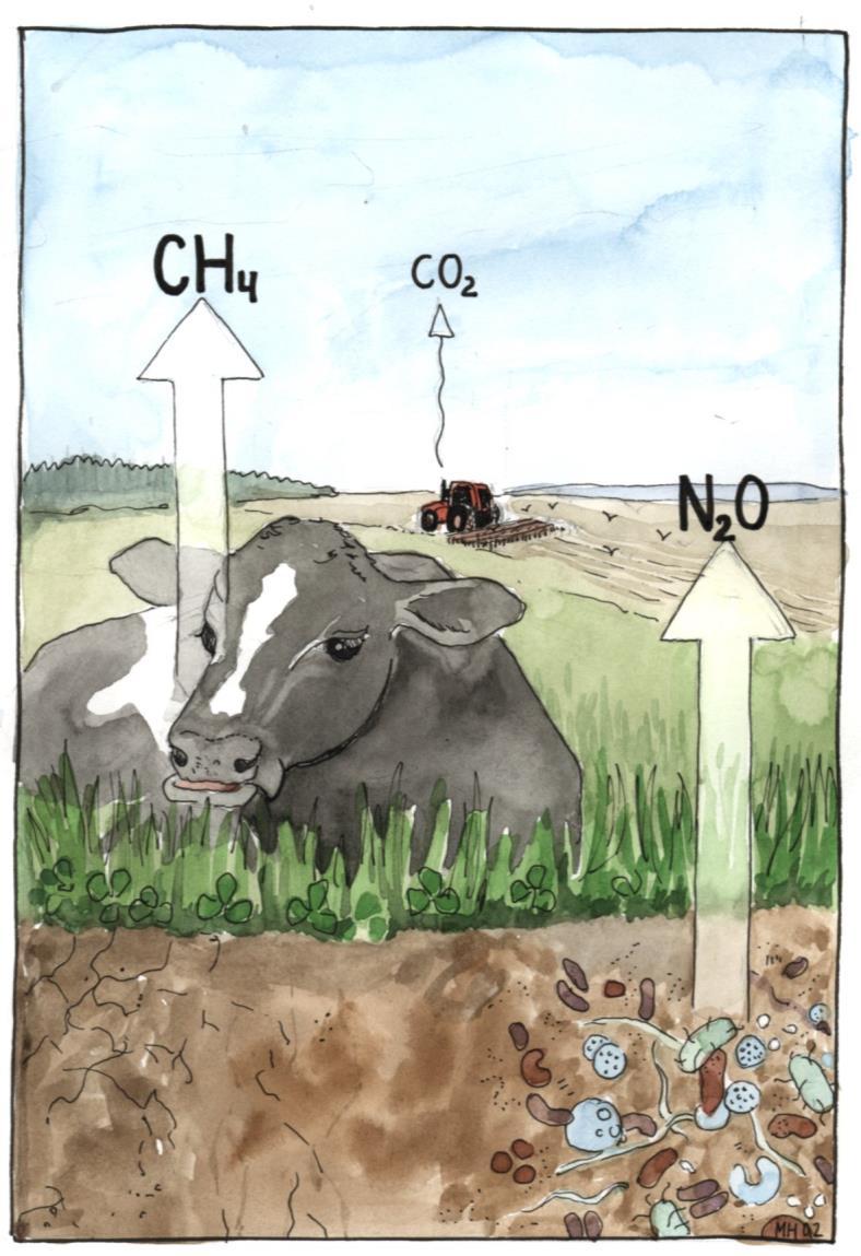Växthusgaser från jordbruket Cederberg, C. Klimat och Mat.