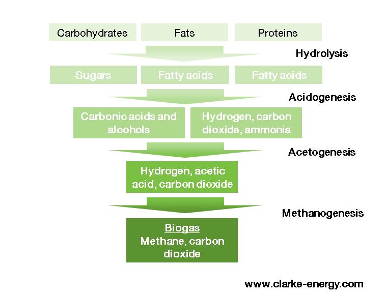 Figur 2 - Biogasprocessens delsteg (Clarke Energy, u.d.) Det finns både kontinuerliga och satsvisa processer för biogasproduktion, där benämningarna syftar på ifall substratet tillförs i omgångar eller kontinuerligt.