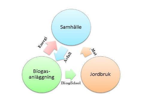 sätt en resurs i den cirkulära ekonomin. Biogödsel och biogas hänger ihop och båda dessa måste få avsättning för att uppnå ett hållbart system kring en tänkt biogasanläggning.