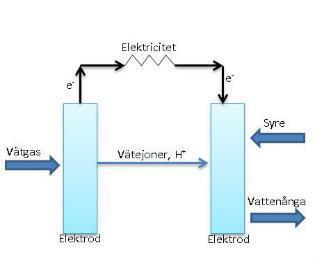 Processen kan jämföras med ett batteri och genererar således elektricitet genom att elektroner från vätet färdas från en elektrod till en annan.