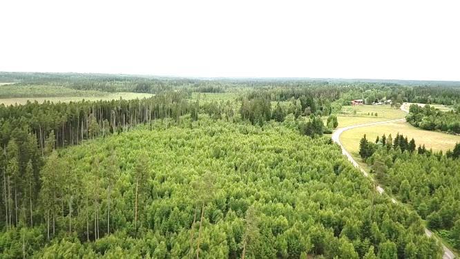 Skog i huggningsklasserna S1/S2 ca 830m3sk. Jakträtt. Pris: 1 200 000 kr eller högstbjudande.