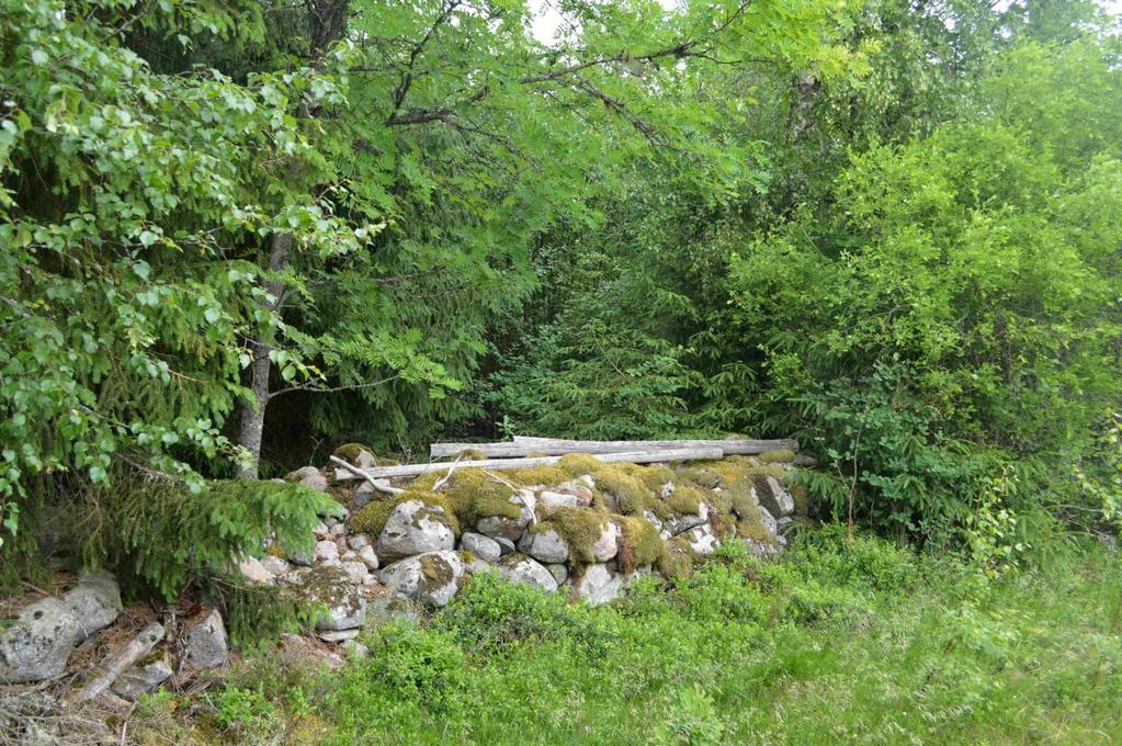 Övrigt Natur och kultur Delar av fastigheten, ca 5 ha, ingår i Gölsjömyrens naturreservat. Gölsjömyren sträcker sig över 344 ha och består av både mossar och kärr.