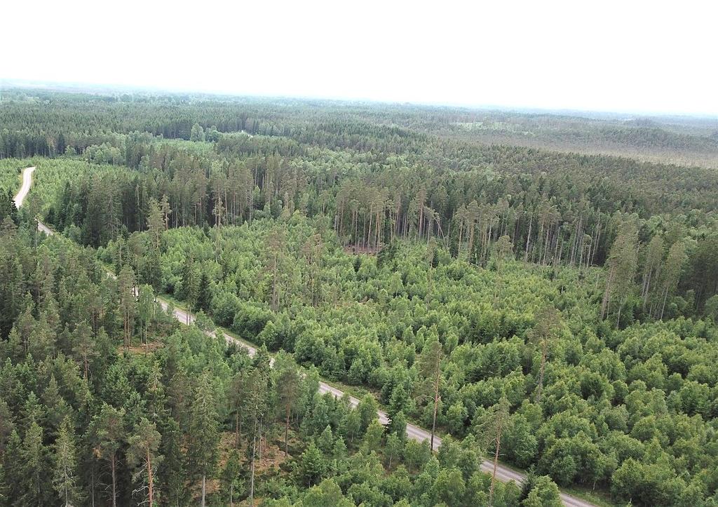 Om Skog & Lantbruk Skog & Lantbruk är ett rådgivningsföretag som arbetar med följande tjänster: - Fastighetsförmedling - Generationsskifte - Marknads-/avkastnings-/intrångsvärderingar -