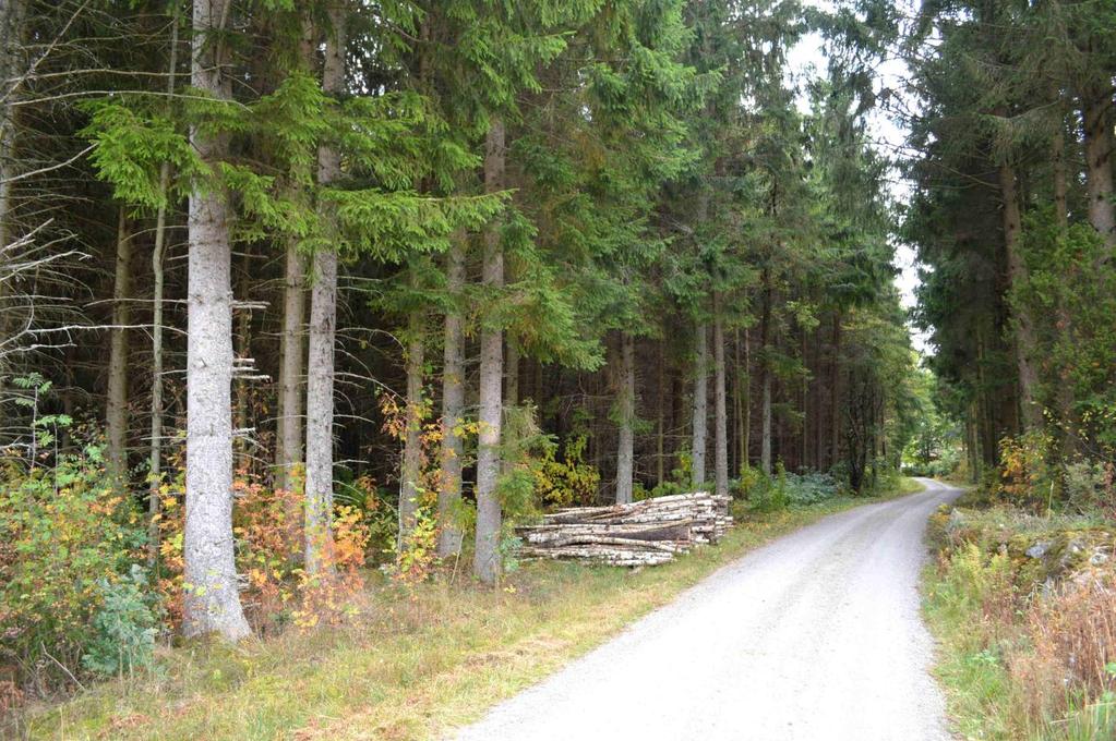 Skogsmark ca 30,5 ha med virkesförråd om ca 1 500 m3sk, åker/bete ca 2 ha, impediment ca 1 ha. Bonitet ca 9,0 m3sk/ha och år.