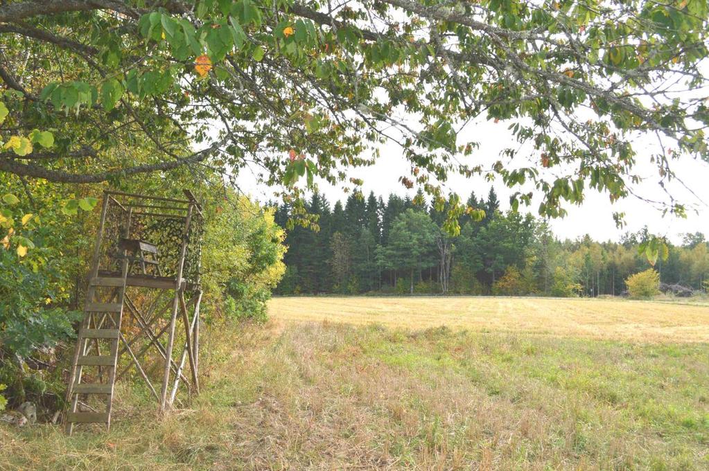 Övrigt Natur och kultur Skogsstyrelsen har angivit 1 område inom Brantåsa 1:15 som fornåker i norra delen av fastigheten.