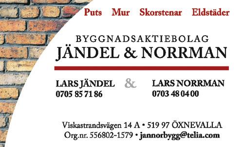 KONKRETA MÅL Minst 100 medlemmar Minst 5 lag Minst 1