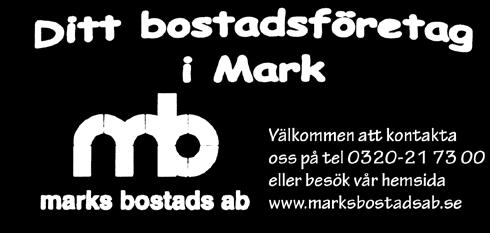 Här redovisas bokslut och verksamhetsberättelse. Man väljer styrelse och väljer om den gamla styrelsen ska få ansvarsfrihet.