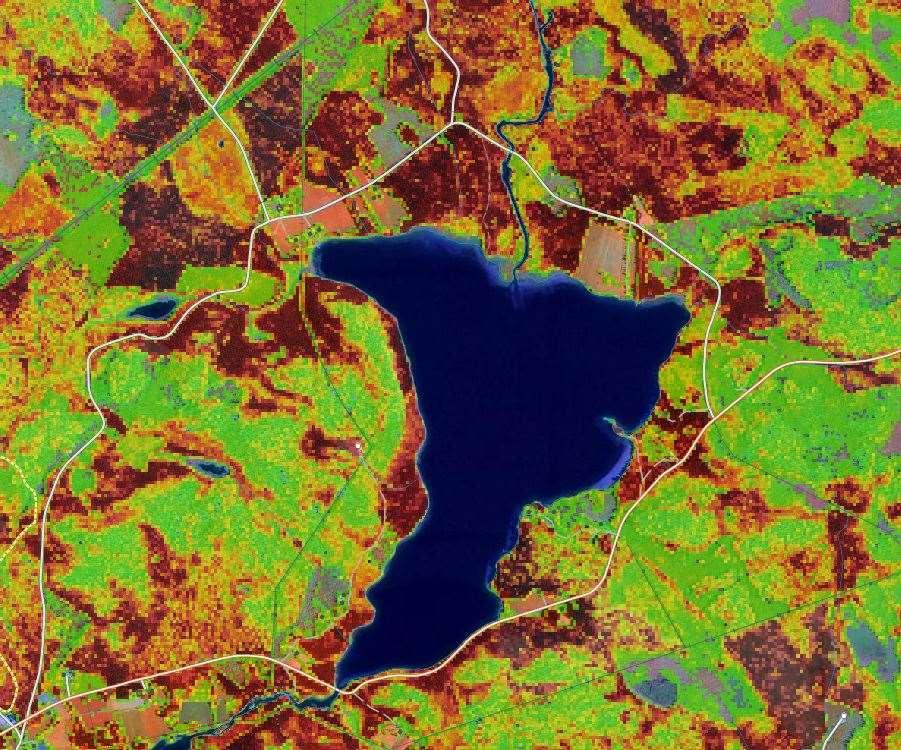 m2/ha DGV = Grundytevägd medeldiameter i cm BIO