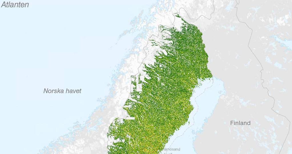 Heltäckande mosaik För skogliga grunddata Skog har inga