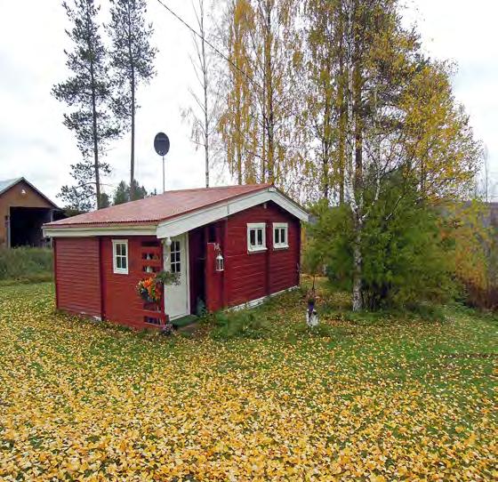 Skogsfastighet i Bredträskheden Mindre skogsfastighet med skog, mark och en liten stuga.