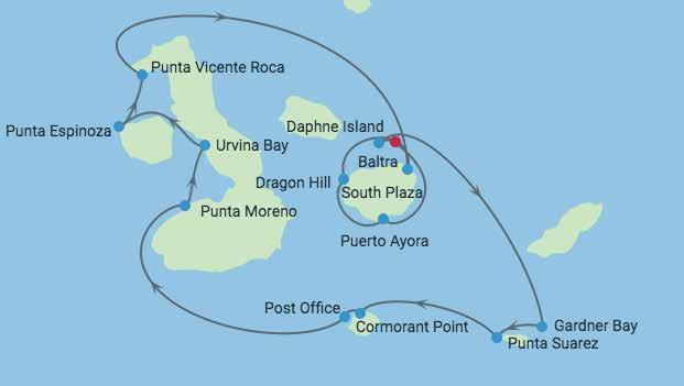 Storslagna Galapagos & färgstarka Ecuador PRELIMINÄRA FLYGTIDER DAG FLYG TIDER FLYGTID 01 feb Stockholm - Amsterdam 06.30-08.35 2h 05 01 feb Amsterdam - Quito 10.15-16.