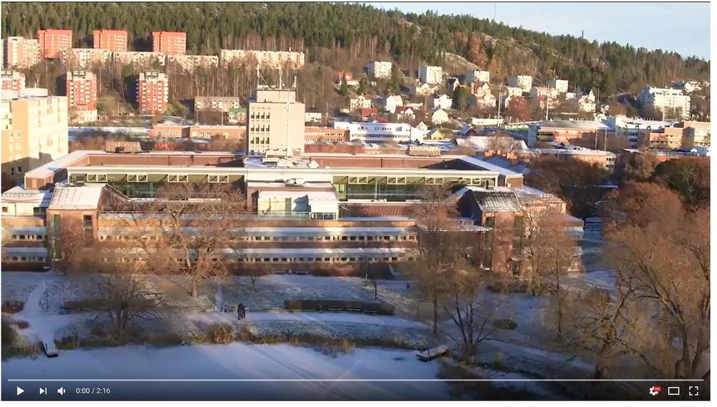 Pengarna och studierna 4 Nya Nya