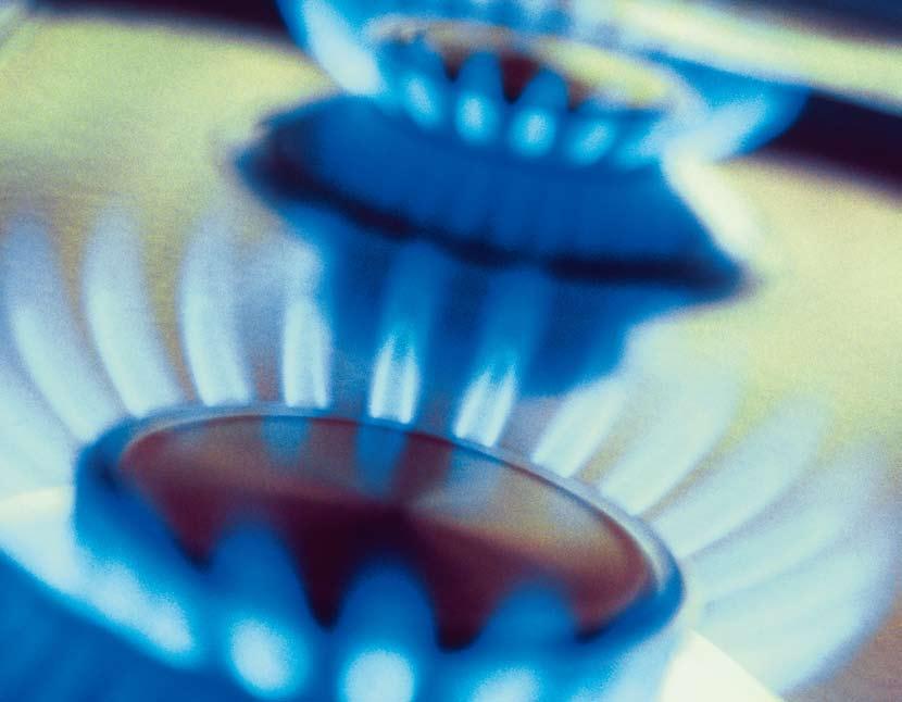 Introduction Inledning > Det här dokumentet är en icke-teknisk sammanfattning av miljökonsekvensbeskrivningen för Nord Stream-projektet.