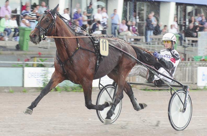 000 S 40928-0 4/2640 0 4,4a 29 Bo Eklöf 0 Månadens Häst Bollnästravet, ett samarbete mellan Folksam och