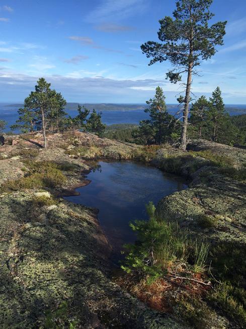 Något kortare och något tuffare Att lägga ett hundratal banor på en O-Ringenetapp innebär förstås en del kompromissande.