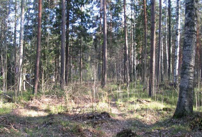 2 1.2 Planområdets läge Planeringsområdet ligger i stadsdelen Veckjärvi vid Veckjärvivägen, ca 2 km från centrum.