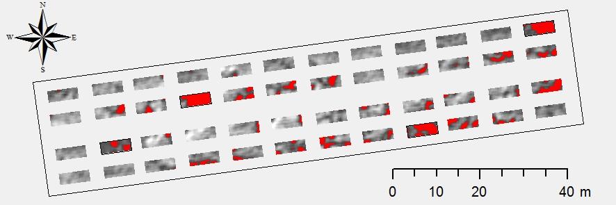 Significantly reduced reflectance August 17