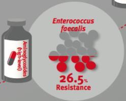 enligt WHO Vankomycin Resistent Enterococcus VRE 20.000 behandlade 1.300 dödsfall MRSA (USA) 80.