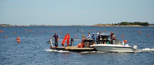 integreras genom att systematiskt arbeta med provning av nya foderråvaror och foderberedningstekniker för olika typer av djurslag och inte minst för vattenbruk i såväl traditionell öppen produktion