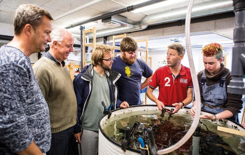 Utbildning på gymnasie-, yrkeshögskole- och universitetsnivå Sammankallande: Nationellt kompetenscentrum för vattenbruk (NKfV) Syfte: Främja, samordna och utveckla utbildningar inom vattenbruket på