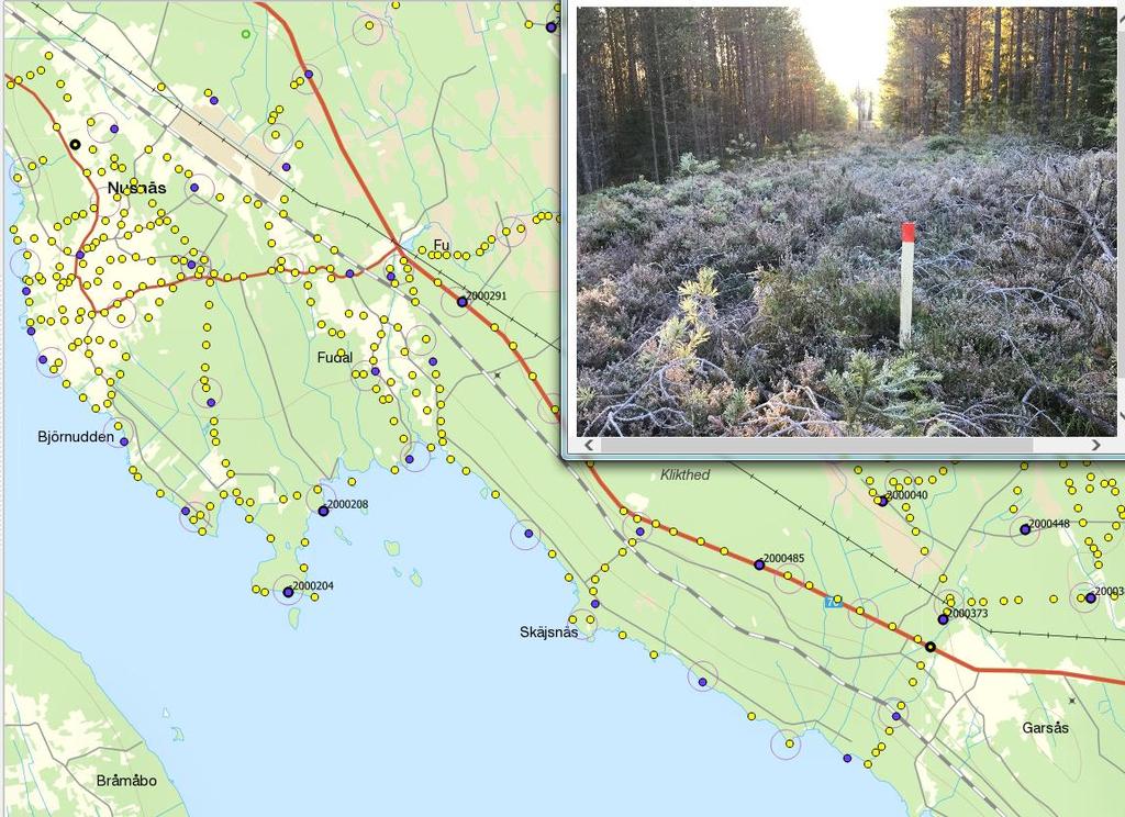 Kommun och Lantmäteri i