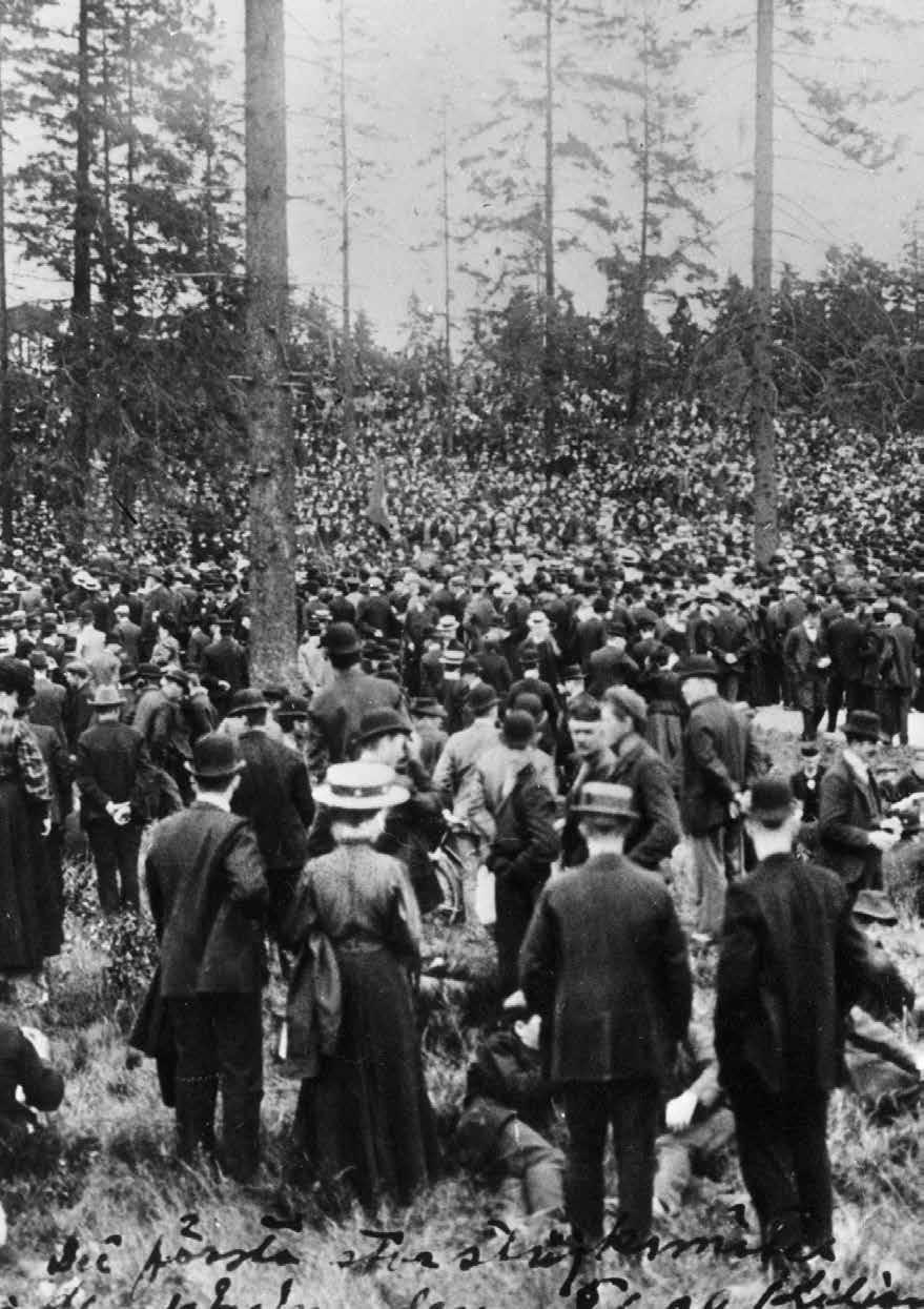 Strejkande samlade i Lill-Jansskogen i Stockholm under storstrejken 1909.