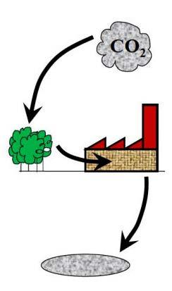 CCS = CO 2 Capture and Storage = koldioxidinfångning och lagring Vad är negativa utsläpp?