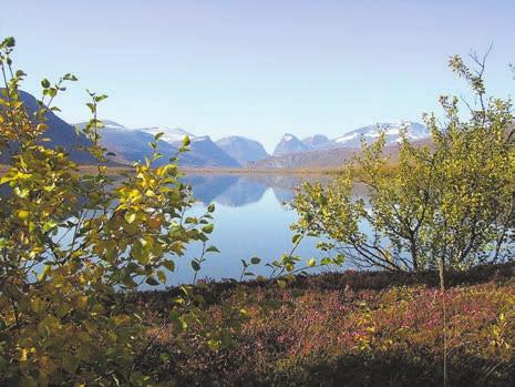 högförädlade järnmalmsprodukter. Behovet av metaller för att kunna skapa välfärd världen över kommer att vara fortsatt högt. Det anser Jan Moström, vd och koncernchef på LKAB.