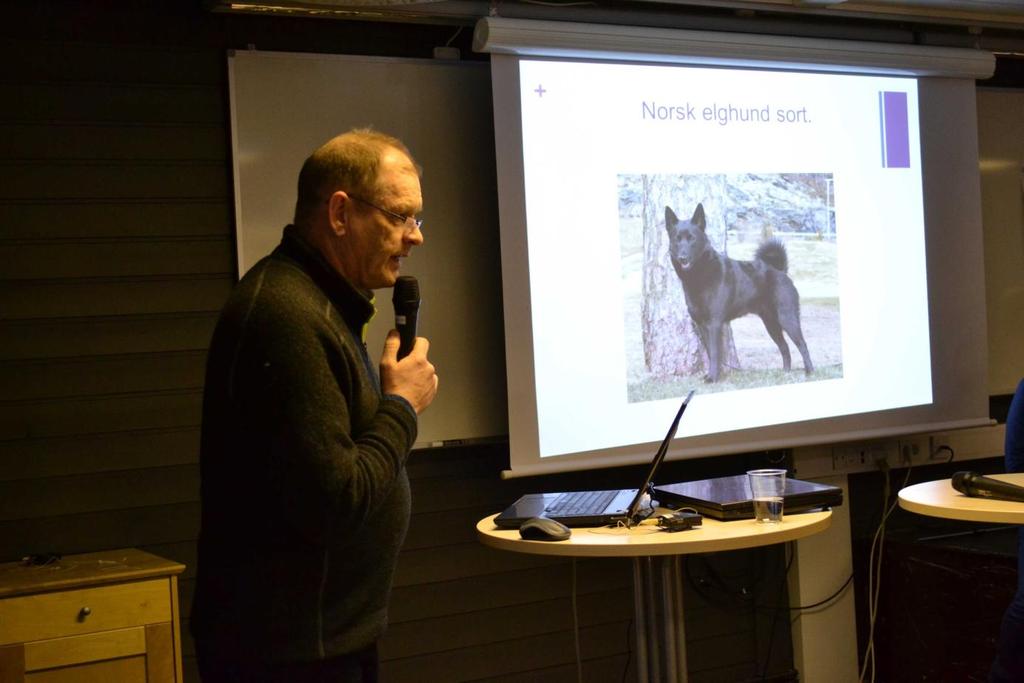 Efter karelaren fick vi en lektion i både norska och om Norsk Älghund, svart. Arild Berget berättade om Svarthunn som är en gammal ras, renodlad sedan 1800-talets mitt.