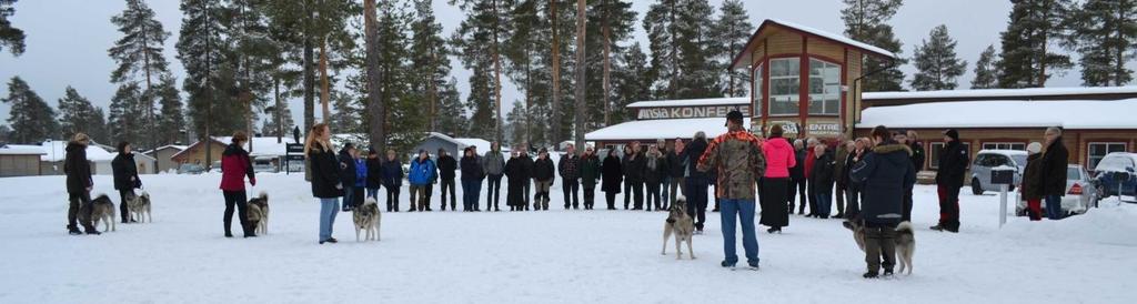 Därefter tog Anna vid och berättade med engagemang om sitt förhållande till den norska gråhunden. En hund som skall vara modig, djärv och energisk för att klara många timmar i skogen.