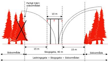 på föryngring, dvs. att ny skog ska etableras, samt för eventuella restriktioner med avseende på trädens framtida höjdtillväxt.