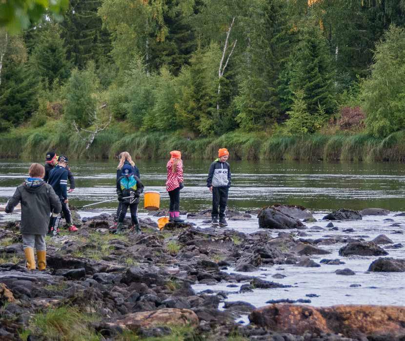 Naturskolan i Umeå Lärande för hållbar