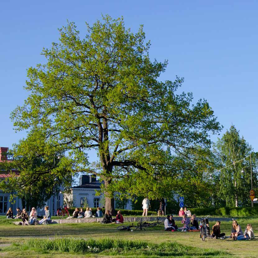 Övrigt arbete En viktig uppgift för Naturskolan är att skapa förutsättning och underlätta förskolans och skolans samverkan med aktörer utanför skolan i närmiljön men också internationellt.