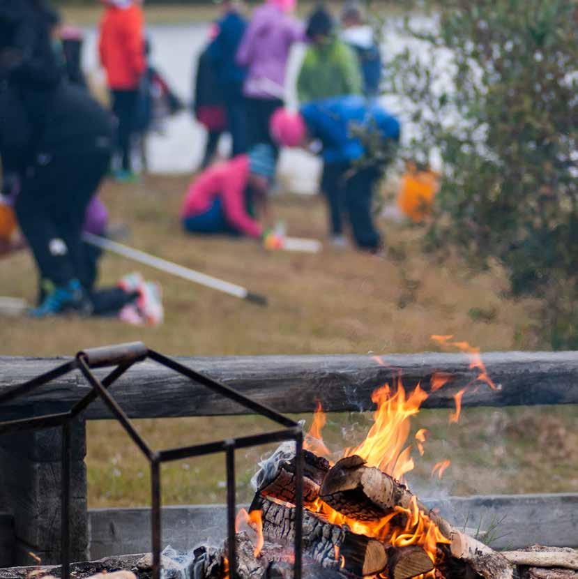 Naturskolan i Umeå var Naturskoleföreningens representanter vid fyra kurstillfällen under läsåret - i Umeå, Härnösand och Örnsköldsvik (2 st.