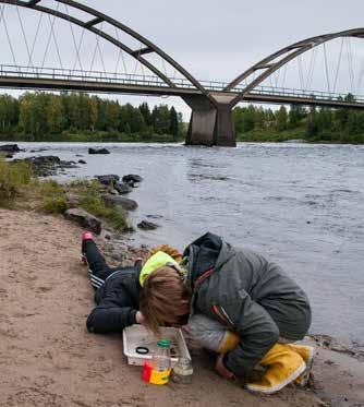 lan har erbjudit konsultativt stöd för ledarlag inom skolområdena och idag har ca 80 % förskolor och skolor i Umeå certifierats.