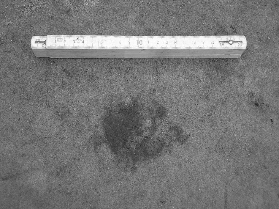 Schakt 17 Schakt 17 var öppen sedan tidigare undersökningar av RAÄ 158. Schaktet grävdes i 5 cm nivåer.