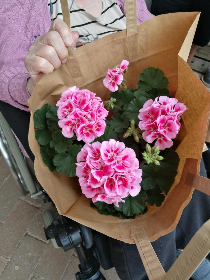 15 (15) Blomsterglädje, Motala.