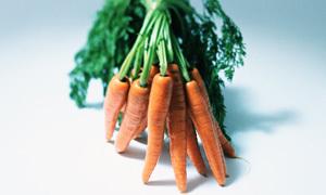 9 (15) VALLA MORÖTTER Från midsommar och under hela sommaren och hösten skördas det både gröndill och krondill som passar mycket bra till både potatis och kräftorna!