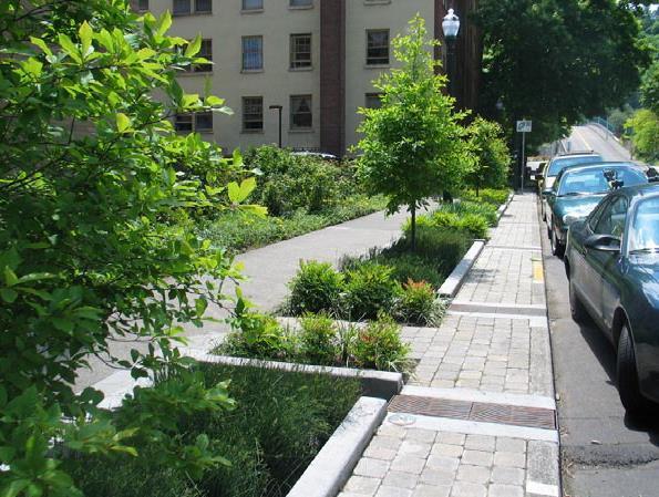 Sustainable Green Streets and Parking