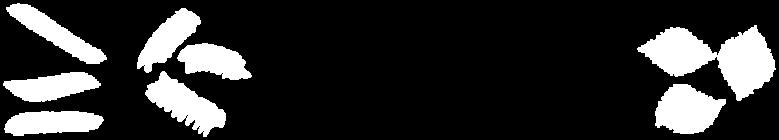 LÅNG FÄRSK PASTA 101-1 102-1 103-1 105-1 107-1 104-1 108-1 101-1