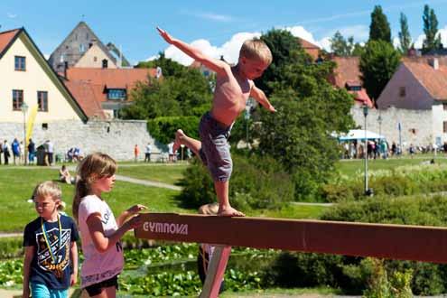 Verksamhetsinriktning 2016-2017 3 Verksamhetsinriktning 2016-2017 GI och SISU Idrottsutbildarna ska till varje stämma föreslå en tvåårig verksamhetsinriktning med ekonomiska planer.