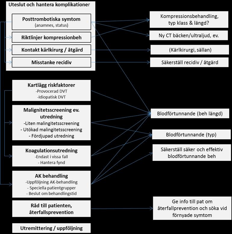 2. Upplägg De ingående delarna är: Checklista för uppföljning av DVT i nedre extremiteten, en kortfattad guide i punktform med hänvisningar till denna kliniska handledning.