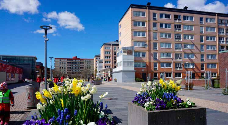 Fastigheterna på Hjällbo Lillgata behöver få stammar, badrum, kök och fasad åtgärdade på sikt och projektet finns med i Poseidons långsiktiga underhållsplan.