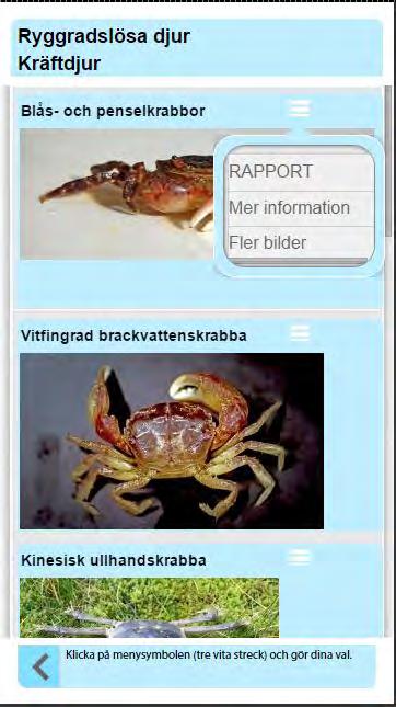 Viktigt att ta bilder på djuret, För att garantera rätt bestämning av